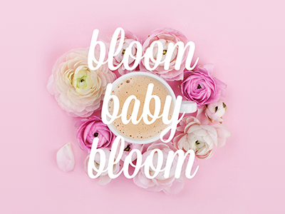 Bloom Baby Bloom graphic design typography