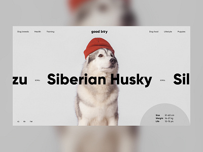 Good Boy Website adobe photoshop cute design dogs figma ui ux web desgin website