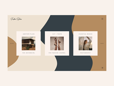 Tasha Tylee concept design photographer photography ui ui ux ux web design