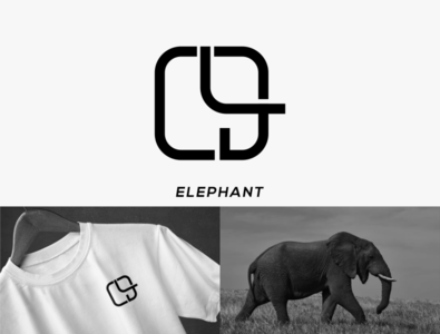 Elephant by Plekbungkus on Dribbble