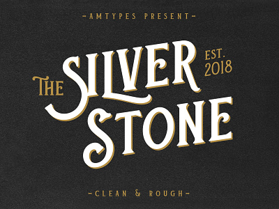 Silver Stone Font amtypes branding clean display font font fonts hand made font letter lettering logotype rough sans serif silver stone type typeface typography victorian vintage