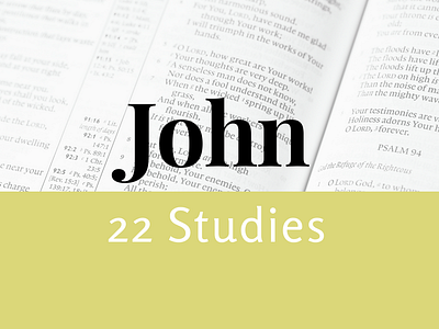 John Bible Study Icon