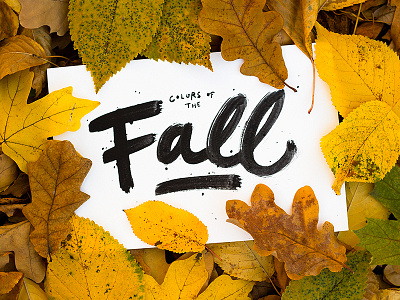 Fall brush calligraphy colors fall leaves lettering type typography