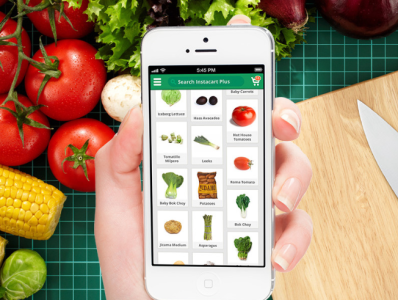 How Much Does It Cost to Develop Grocery Delivery Mobile App? app developers delivery app grocery delivery app development mobile app development