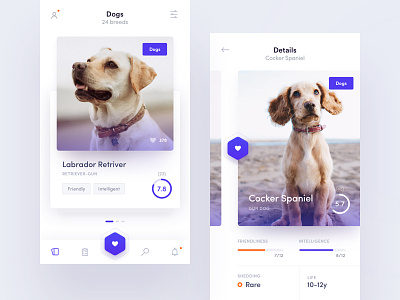 Breed Mobile App app breed cards cat discovery dog mobile swipe ui ux