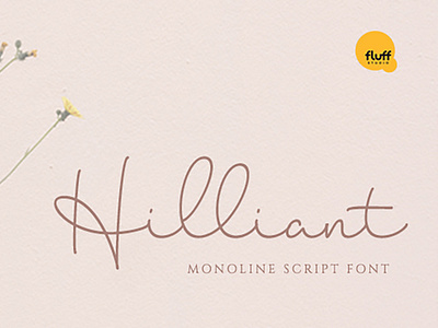 Hilliant - Monoline Script Font cursive decorative feminine font font design handlettering handwritten monoline script signature typeface