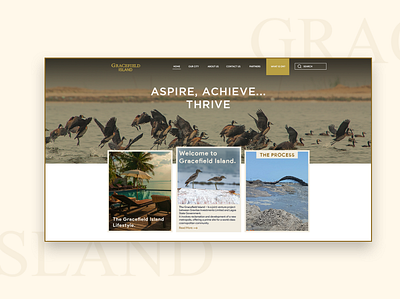 Website Redesign, Gracefield Island brown classic clean gold graphic design island lagos nigeria premium web design website