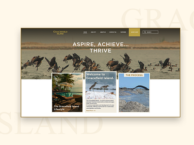 Website Redesign, Gracefield Island