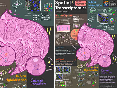Spatial Transcriptomics - Infographic academia biology branding design dna genetics illustration infographic logo research university