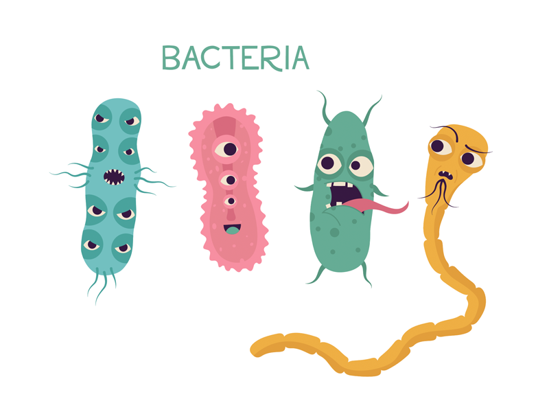 Bacteria by Leonor Graça Moura on Dribbble