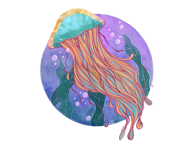 Jellyfish