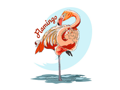 Flamingo africa animal beauty bird illustration isolated lamingo nature pink tropic tropical vector