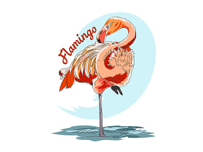 Flamingo