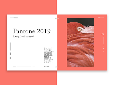 Pantone 2019 branding design typography ui web website