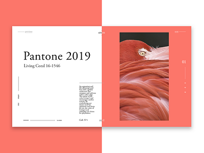 Pantone 2019