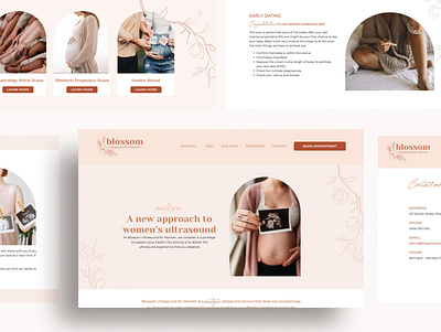 Blossom Ultrasound oxygenbuilder ui ux web web design web designer website design website layout
