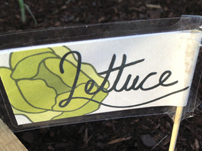 Lettuce garden labels lettuce plant markers