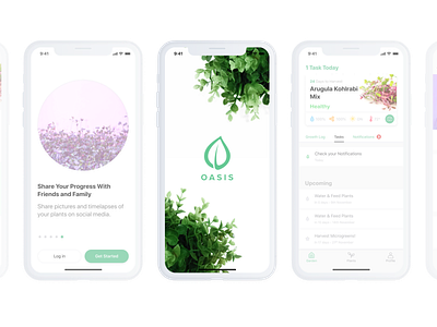 Oasis Splash Screen ios leaf logo leafs onboarding plant splash