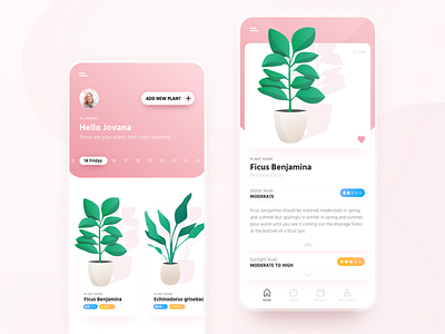 Plant watering app - Concept app app concept app design bright color clean design design concept gradient illustration ui