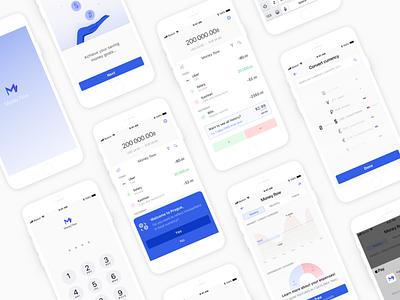 MoneyFlow app application finance graphic illustration mobile sketch ui ux vector