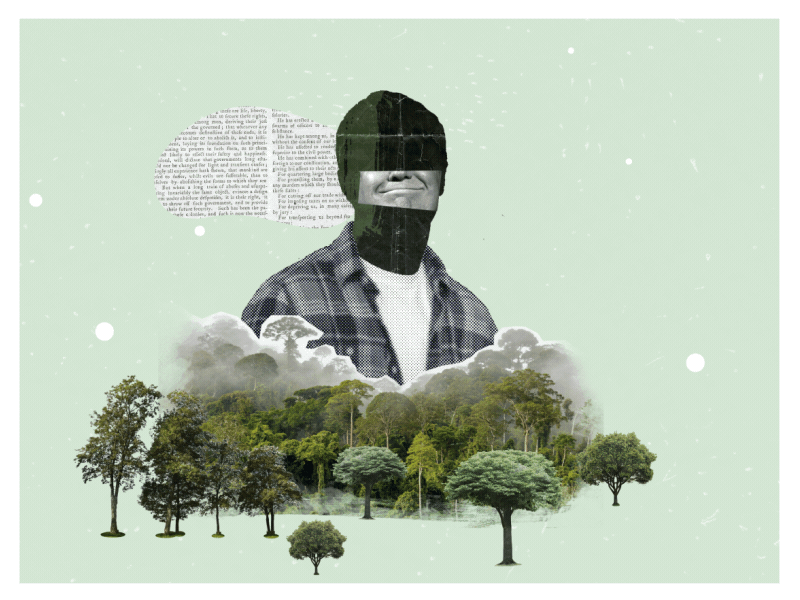 Know It All abstract collage collage art design digital collage gif graphic illustration mixed media mograph motion art portrait surreal trees