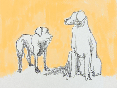 Doggos animal animal illustration dog dog illustration illustration pencil simple yellow