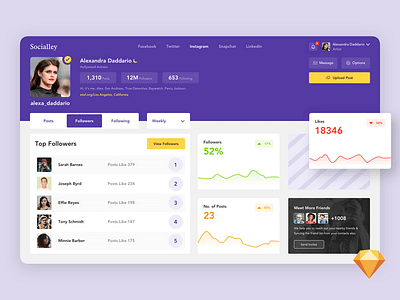 Socialley design minimal ui ux web