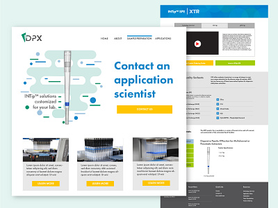 DPX Web Mockups