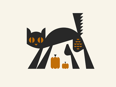 Black Cat animal cat fall halloween holiday pumpkins