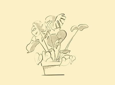 Light sketch grow illustration leaves minimal monstera plant plants procreate retro simple texture