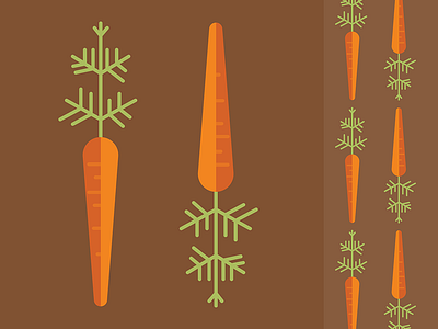 Carrot carrot food garden summer