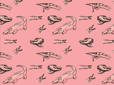 Pink Alligators