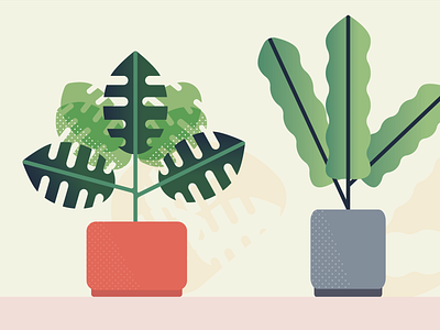 House plants halftone houseplants illustration monstera nature plants