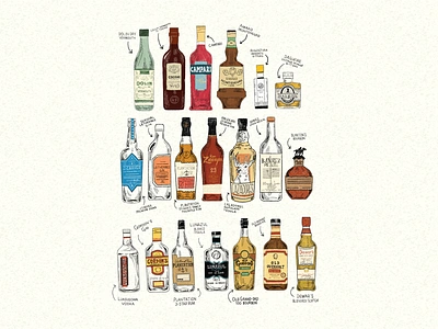 Top shelf please bar bartender campari drinking drinks gin illustration kitchen minneapolis minnesota restaurant rum vodka whiskey