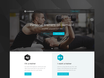 Carbon Fit Landing Page