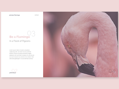 Flamingo adobe xd branding design firstshot flat hellodribbble identity illustration minimal type typography ui ux uidesign uidesigner vector web webdesign website