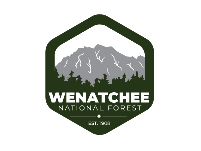 Day 25 - Wenatchee National Forest badge challenge day forest green logo mountain thirty wenatchee national forest