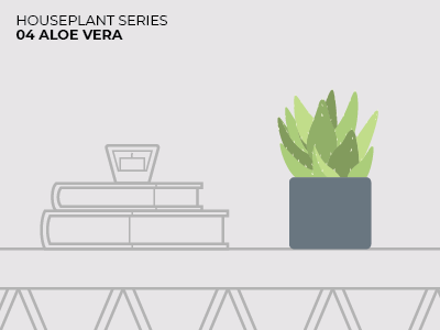 04 Aloe Vera aloe vera green houseplant illustration modern plant series simple
