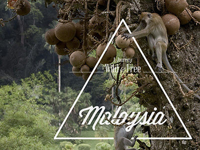 Malaysia asia malaysia monkeys photography travel triangle typography