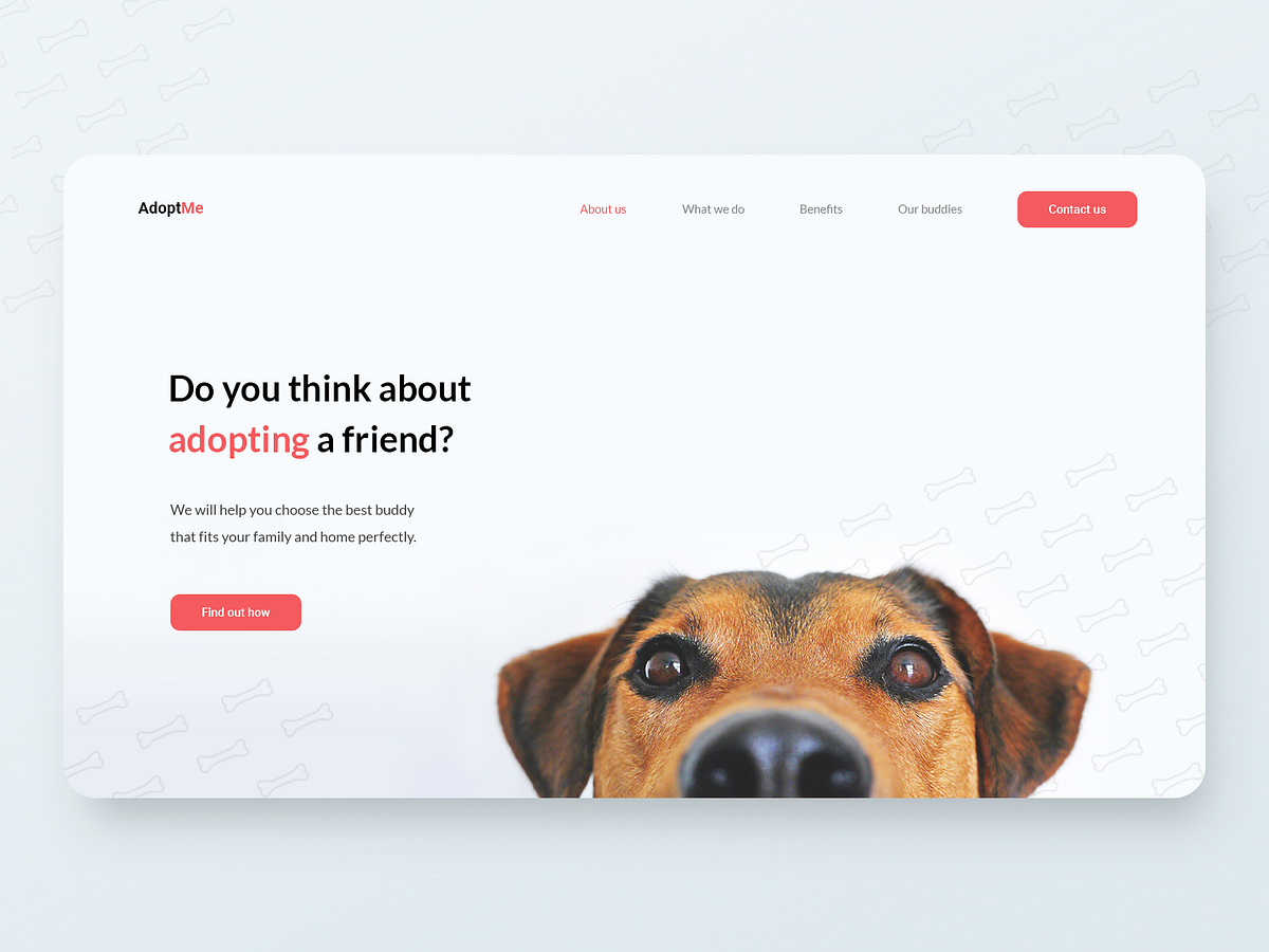 Browse thousands of Adoptme images for design inspiration | Dribbble