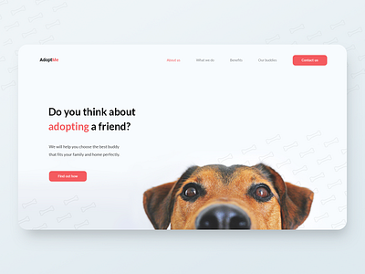 First look on AdoptMe site 🐶