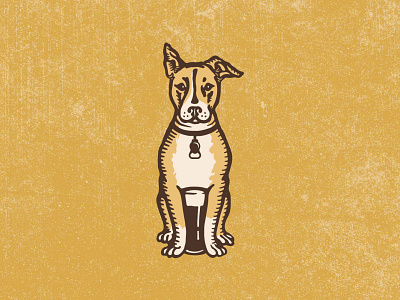 Bare Bones Brewery Logomark branding design dog dog illustration hand drawn identity logo vintage dog illustration