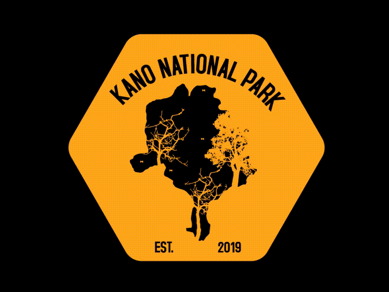 Kano National Park animation dailylogochallange design illustration kano logo nigeria shapes silhouette