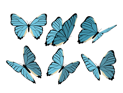 Butterfly vector butterfly clipart icon vector