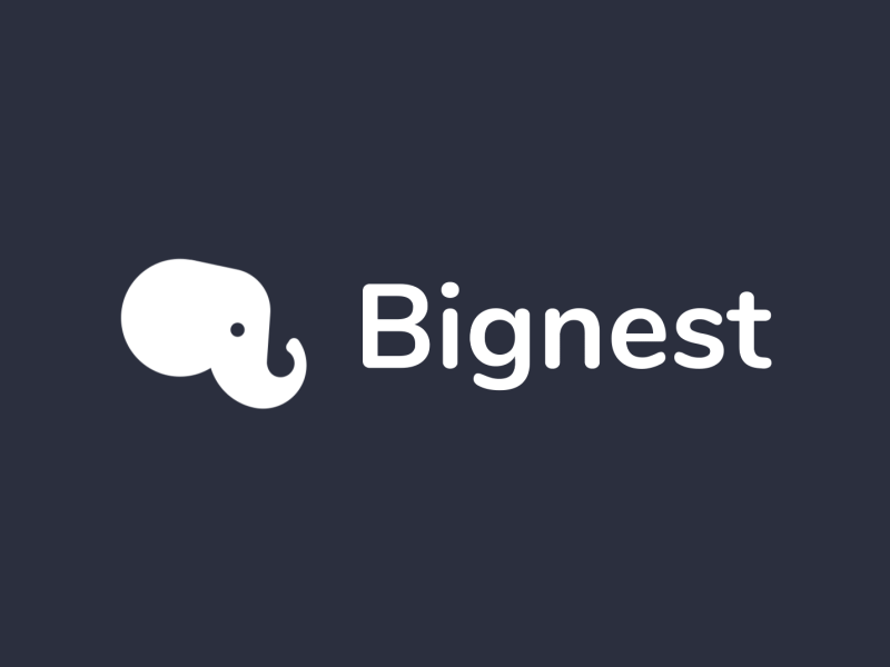 Bignest Logo Animation
