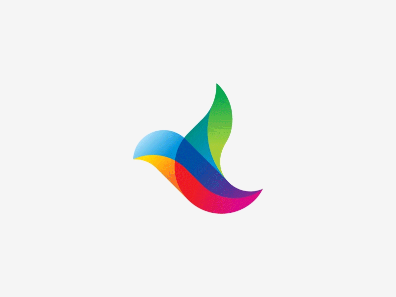Lority Logo Animation bird bird logo branding color design graphic illustration logo logo animation vector