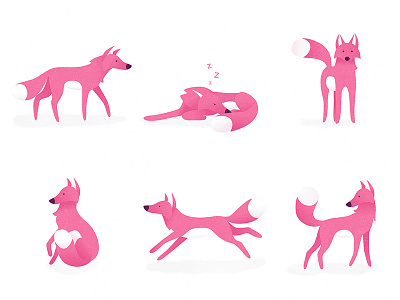 Pink Fox canine fox foxes jump jumper pink poses run sleeping sleeping bag walk