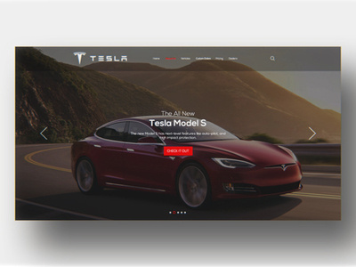 Tesla Landing Page