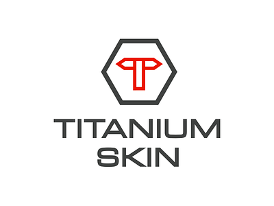 Titanium Skin Logo builders logo construction logo grey hexagon masculine proffessional red titanium