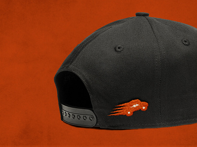 Zelectric Apparel Cap (Rear)